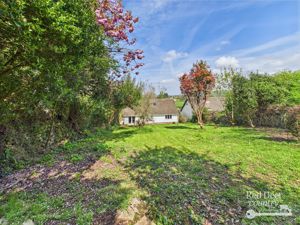 Rear- click for photo gallery